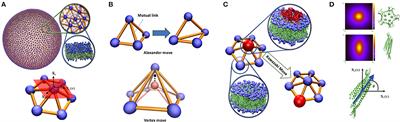 A Multi-Scale Approach to Membrane Remodeling Processes